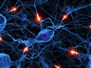 illustration: neurons